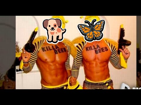 Видео: щенок и бабочка в Super Auto Pets