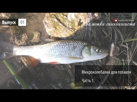 Видео: Микроколебалки для голавля. Часть1.