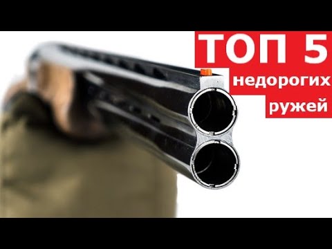 Видео: 💥 ТОП 5 БЮДЖЕТНЫХ ВЕРТИКАЛОК