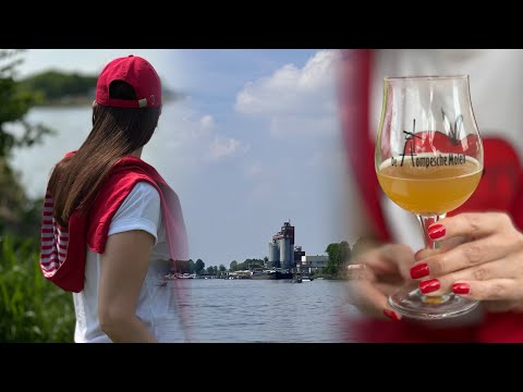 Видео: Maasbracht🇳🇱 Отдых на реке Maas.Самая высокая мельница Лимбурга,Hompesche Molen.