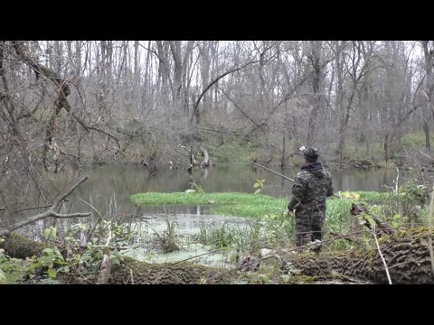 Видео: РЫБАЛКА НА ХИЩНЫЙ ПОПЛАВОК. Ловля щуки на живца в ноябре.