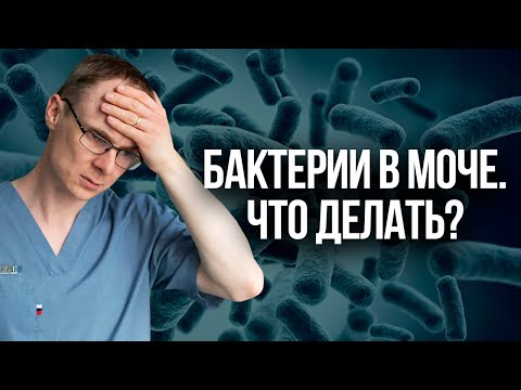 Видео: Бактерии в моче. Что делать? Врач уролог-андролог. Москва.