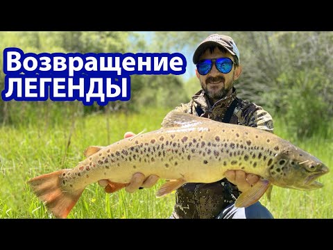 Видео: Рыбалка на форель 2021 ! Возвращенение легенды ! Ловим , ловим , ловим!