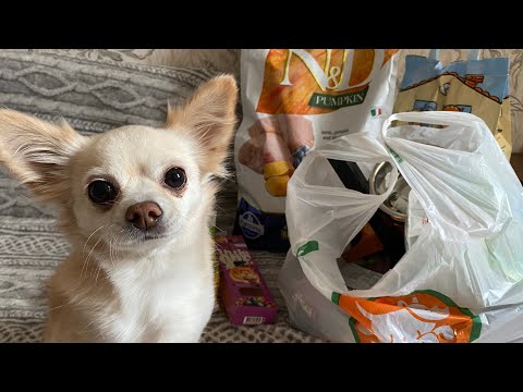 Видео: Огромные покупки из зоомагазина