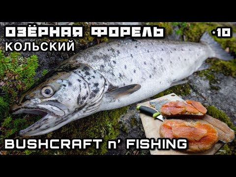 Видео: Дикая Озерная ФОРЕЛЬ Рыбалка на Блесну | Печь для Хлеба БУШКРАФТ по-русски | Рыба Жареная на Костре