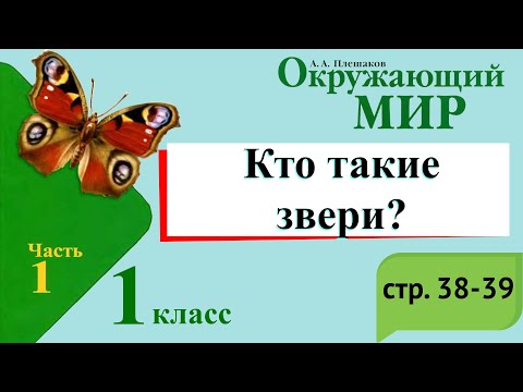Видео: Кто такие звери? Окружающий мир. 1 класс, 1 часть. Учебник А. Плешаков стр. 38-39