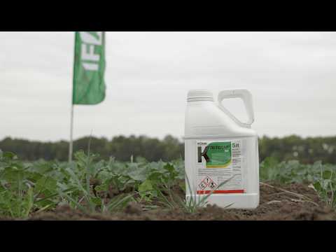 Видео: Гербіцид Клетстар, КЕ від IFAGRI