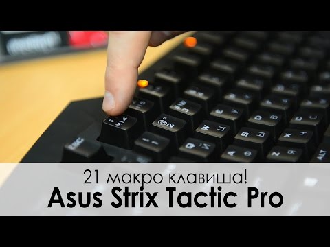 Видео: Обзор игровой клавиатуры Asus STRIX Tactic Pro — Только Cherry!