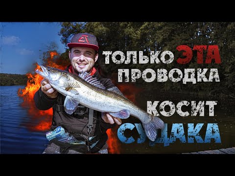 Видео: Ловля СУДАКА на ДЖИГ на незнакомом водоеме! Как найти, как ловить? Рыбалка 2020!