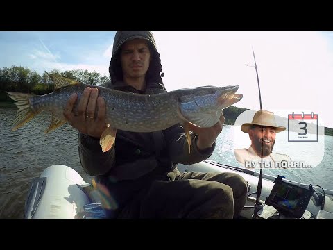 Видео: Спиннинговая рыбалка на реке сосьва 3.09.2023