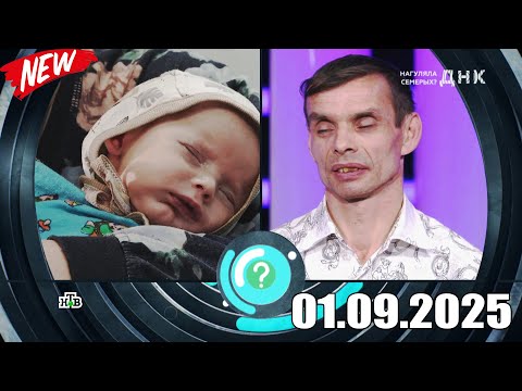 Видео: ДНК . Выпуск от 01.09.2025 - «Нагуляла семерых » - Передачи НТВ