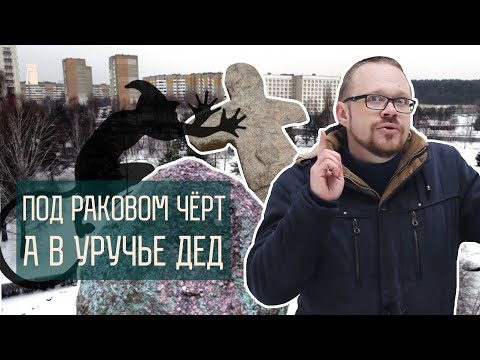 Видео: Кто живет внутри камня? Самые интересные валуны возле Минска