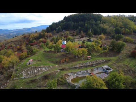 Видео: Златна есен в района на село Аврен