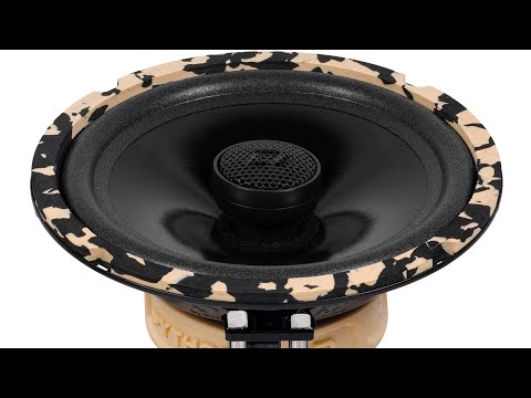 Видео: Новинка от DL Audio акустика Python 165 Coax #vik_sound #dl_audio_official #автозвук