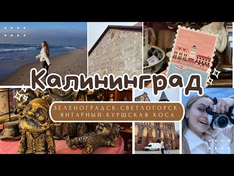 Видео: Калининград//Большой выпуск//розыгрыш #калининград
