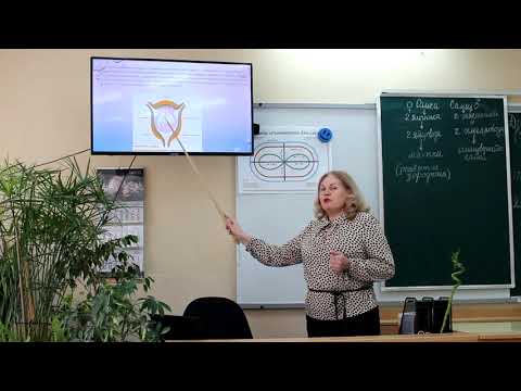 Видео: 8 класс. Биология. Размножение и развитие млекопитающих