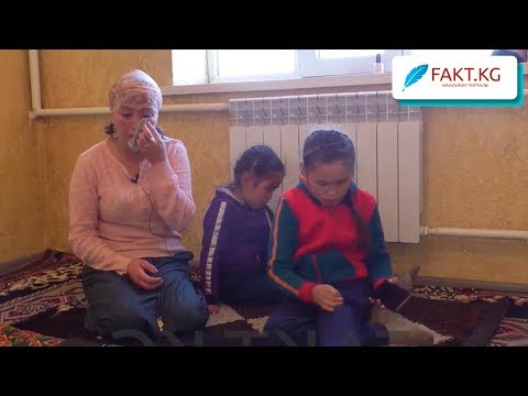 Видео: "Бир жылкынын айынан күйөөмдү өлтүрдү" | Журналисттик иликтөө