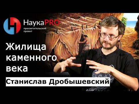 Видео: Жилища древних людей | Лекции по антропологии – Станислав Дробышевский | Научпоп