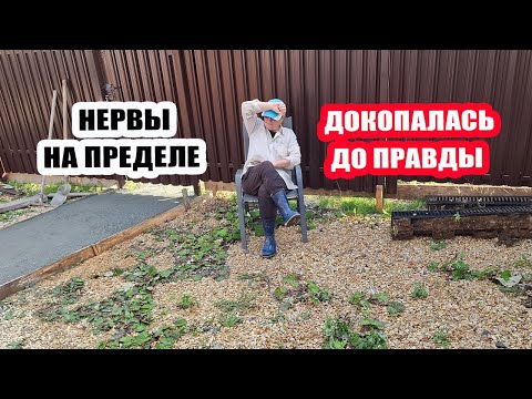 Видео: Мои нервы на пределе 😠 Докопалась до правды 🧐