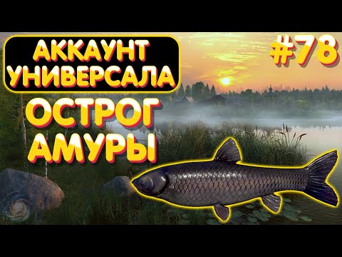 Видео: Аккаунт универсала #78 | Амуры - Острог | Русская Рыбалка 4