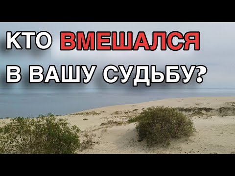 Видео: 💥КТО МЕНЯЕТ ВАШУ СУДЬБУ? КТО ВМЕШАЛСЯ? 🍀🌸🪷💐🌼