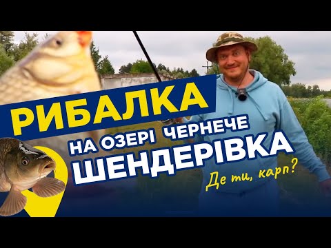 Видео: Где ты, карп? РЫБАЛКА на озере "Чернече" с. Шендеровка