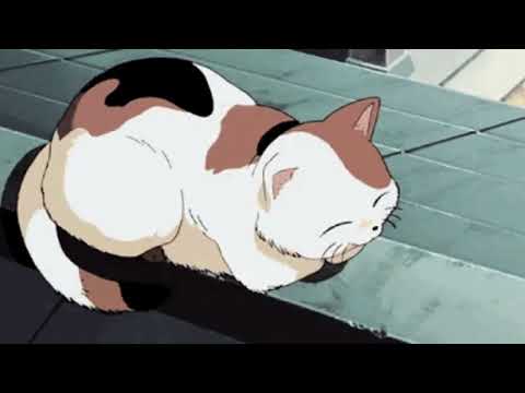 Видео: наше последнее лето - кокос (slowed + reverb)