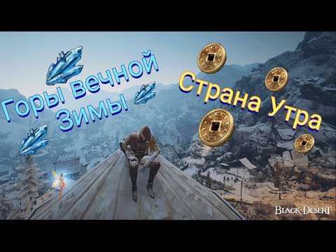 Видео: Гайд по ежедневным заданиям в Black Desert Online. 2024 год.