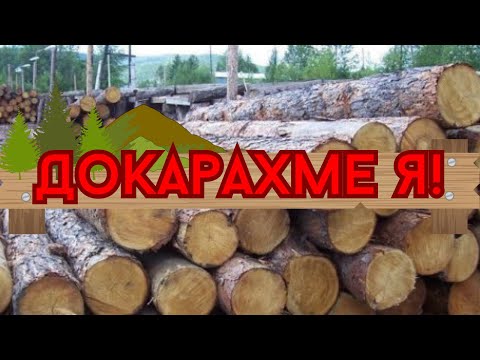 Видео: ГРЕДА! Как да си направим декоративна дървесина?