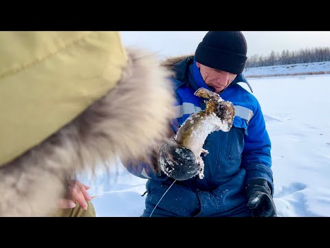 Видео: Это не твоя лунка Дружище