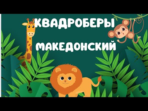 Видео: квадроберы и Александр Македонский