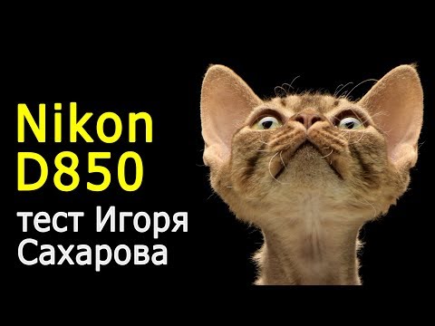 Видео: Игорь Сахаров. Nikon D850 в студийных условиях. Тест