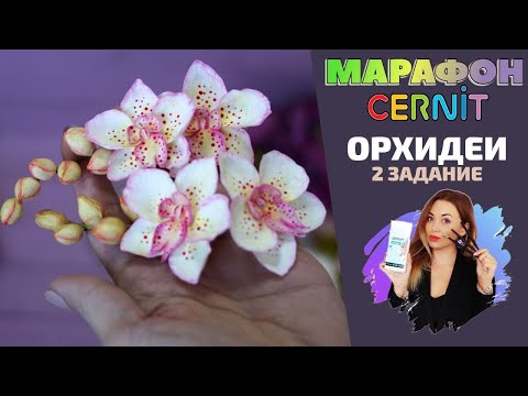 Видео: CERNIT Марафон. Второе задание | Веточка с орхидеей