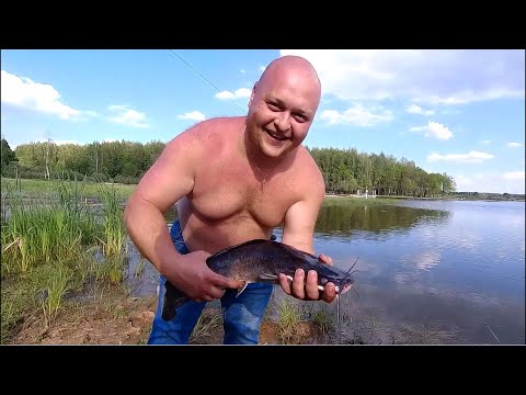 Видео: ЛОВЛЯ АФРИКАНСКОГО СОМА НА ПОПЛАВОЧНУЮ СНАСТЬ! РЫБАЛКА В КОКИНО (ОСНОВНОЙ) ЛУЧШИЕ МОМЕНТЫ РЫБАЛКИ!