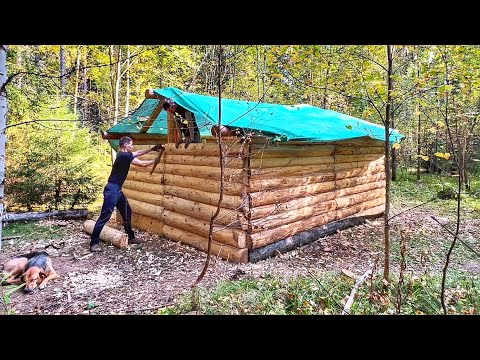 Видео: СТРОИМ БОЛЬШУЮ И КРАСИВУЮ ИЗБУ! РОВНЯЕМ И СКОБЛИМ СТЕНЫ!