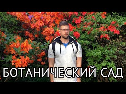 Видео: Рододендроны. Ботанический сад. РИГА.