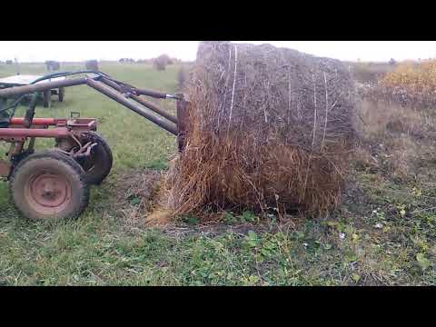 Видео: Кун за два дня, Кун из того что было, Кун на т16