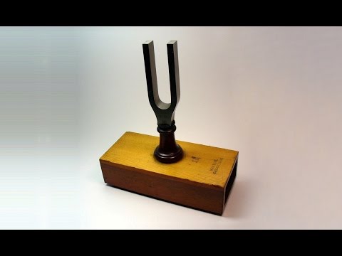 Видео: Камертон. Теория музыки. Урок 20.