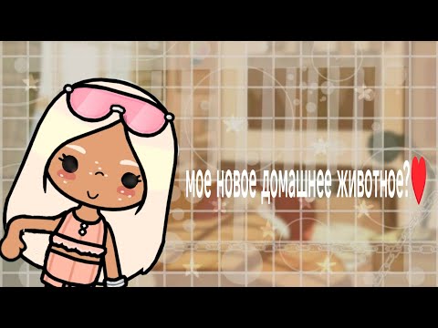 Видео: Новое животное?