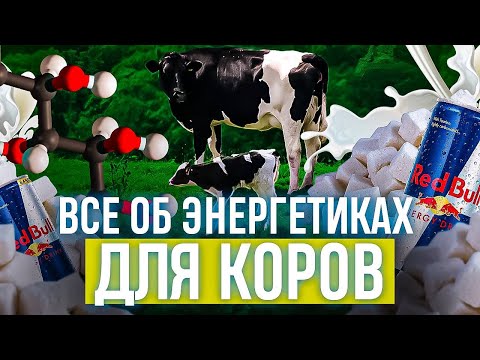 Видео: Все об энергетиках для коров