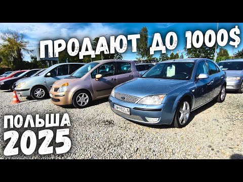 Видео: АВТОРЫНОК БЮДЖЕТНЫХ АВТО ДО 1000$ ПОЛЬША 2025 ЦЕНЫ НА АВТОМОБИЛИ В ПОЛЬШЕ, ОБВАЛ ЦЕН 2025
