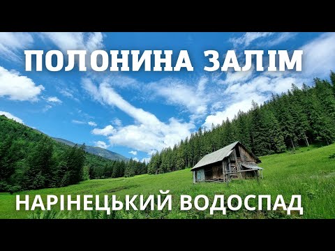 Видео: Полонина Залім і Нарінецький водоспад. Цікава локація поруч з Яремче.