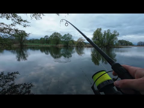 Видео: ПОЛНЫЙ САДОК РЫБЫ, рыбалка с друзьями ( Видео с Апреля.Перезалив)