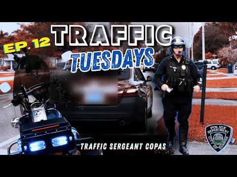 Видео: «Вы превысили скорость и вам нужен полицейский эскорт?» — Traffic Tuesdays, выпуск 12
