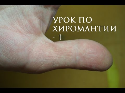 Видео: 1. хиромантия. большой палец