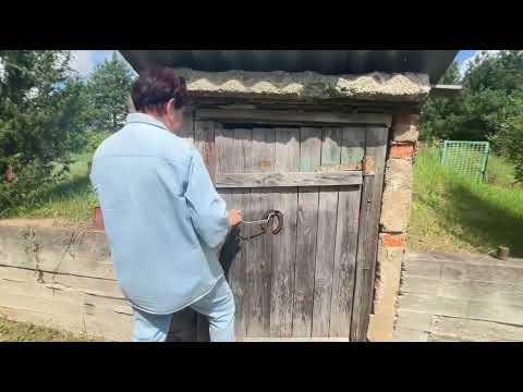 Видео: Обзор дачи на продажу 🌿 Деревня Жихи | Гродненская область