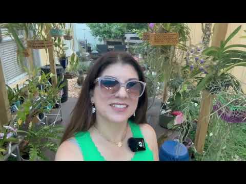 Видео: Ноябрьские новости о саде: потрясающие цветы, новое пространство для выращивания и даты выставок ...