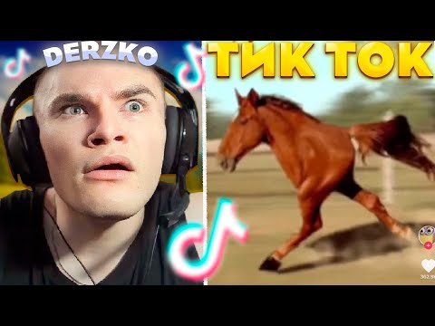 Видео: ДЕРЗКО СМОТРИТ ТИК ТОК #24 | derzko69