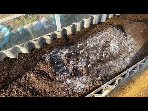 Видео: В 100 РАЗ ЛУЧШЕ НАВОЗА И БЕСПЛАТНО! Вот что внести в почву в октябре для повышения урожайности 