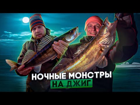 Видео: НОЧНЫЕ МОНСТРЫ НА ДЖИГ. Рыбалка на Волге в Саратовской области